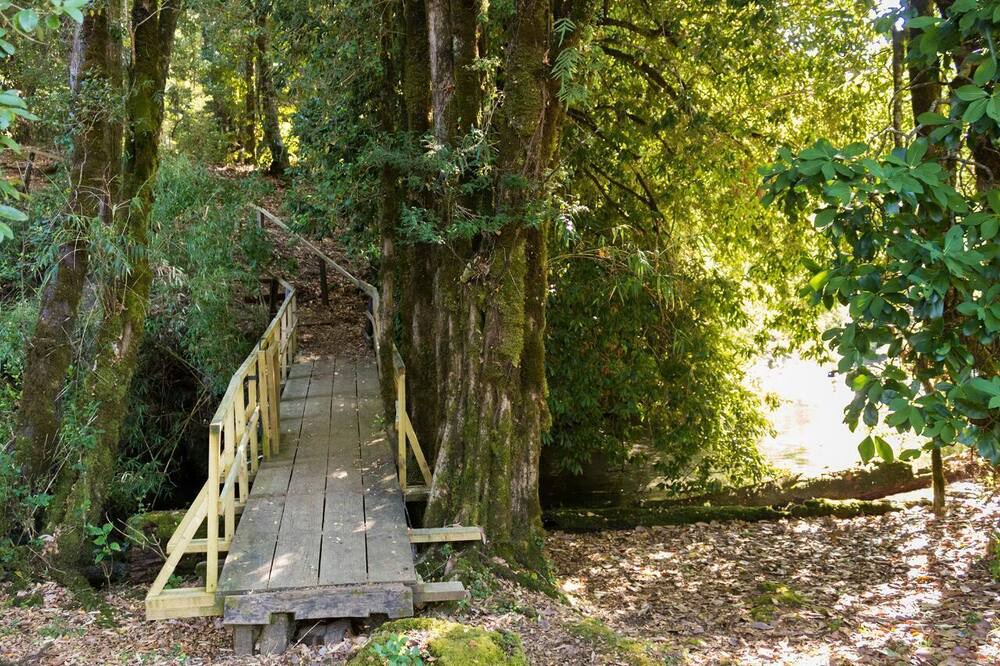 Photo of Outdoor in Pucon