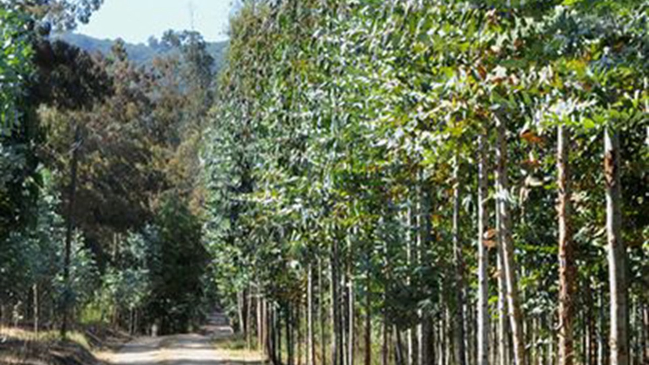 Photo of Outdoor in Las Cabras