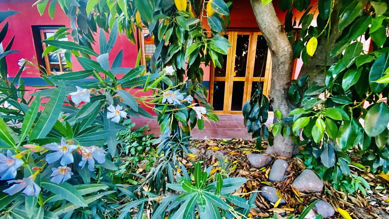 Photo of Bedroom in Talagante