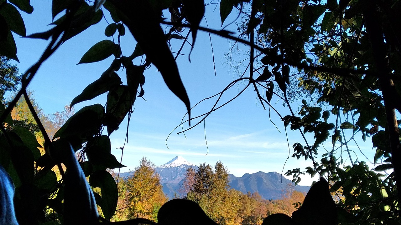 Photo of Outdoor in Pucon