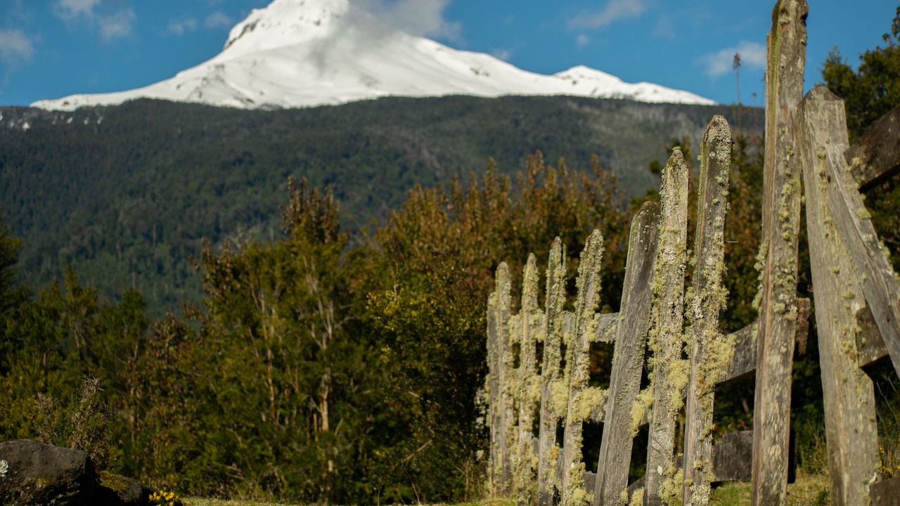 Photo of Outdoor in Los Ladrillos