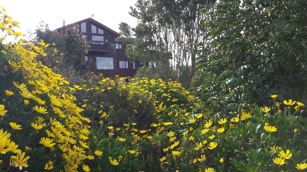 Photo of Outdoor in Puerto Varas