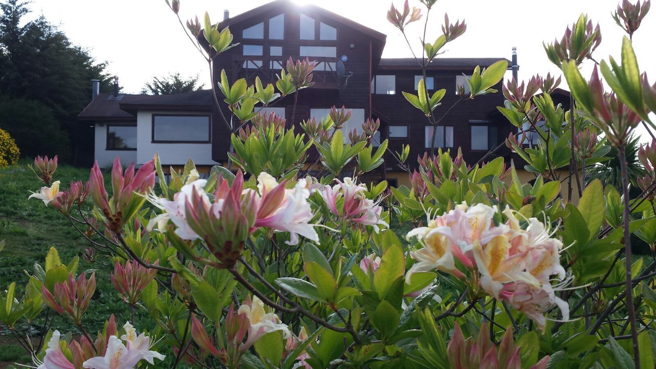 Photo of Outdoor in Puerto Varas