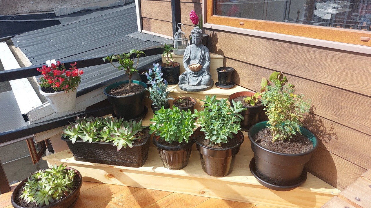 Photo of Patio Balcony in Punta Arenas