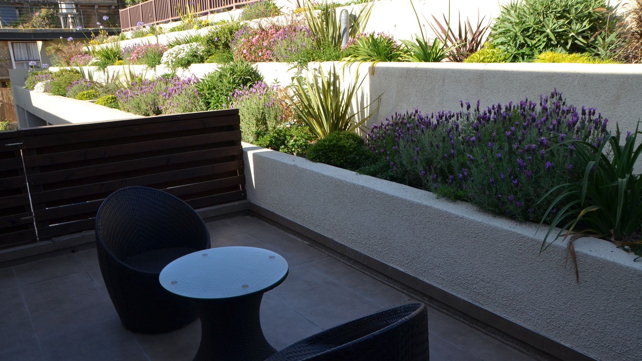Photo of Outdoor in Maitencillo