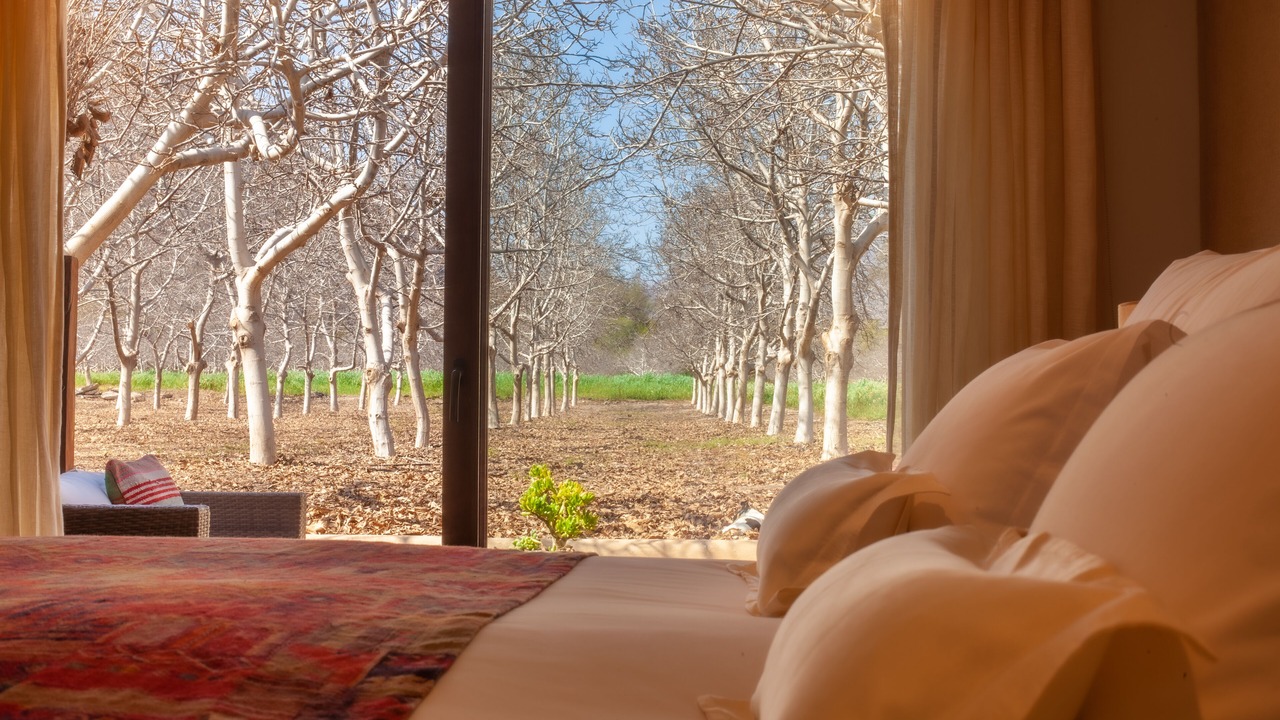Photo of Bedroom in Vicuna