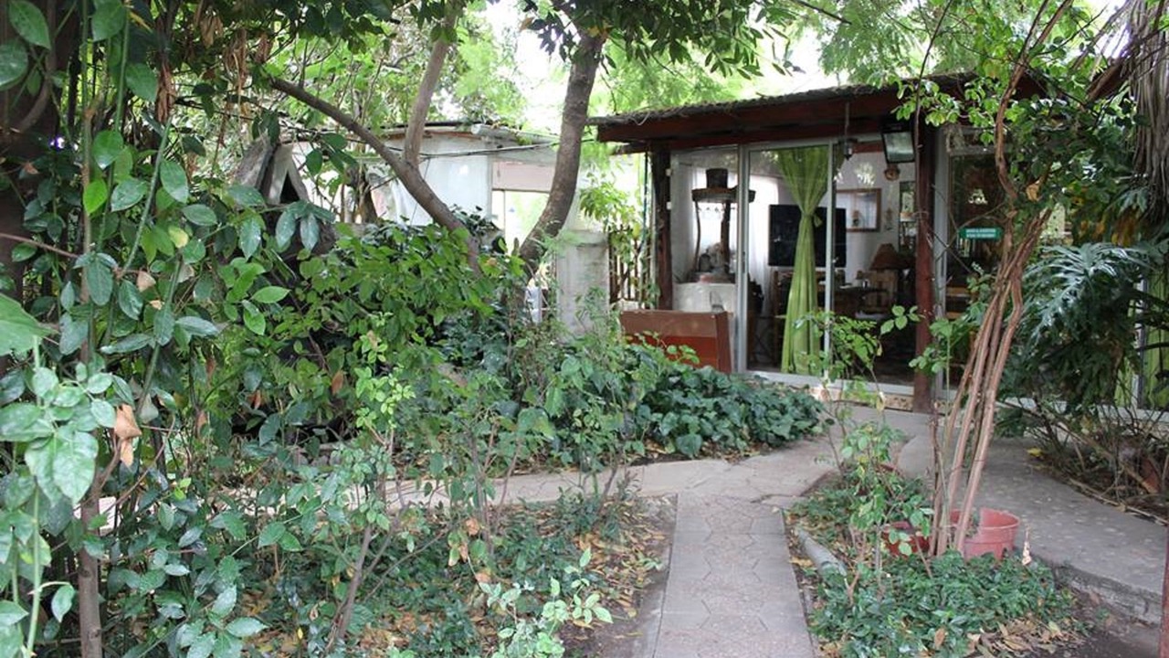 Photo of Outdoor in Santa Cruz