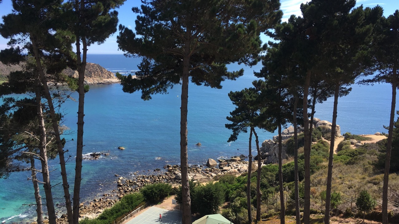 Photo of Others in Algarrobo