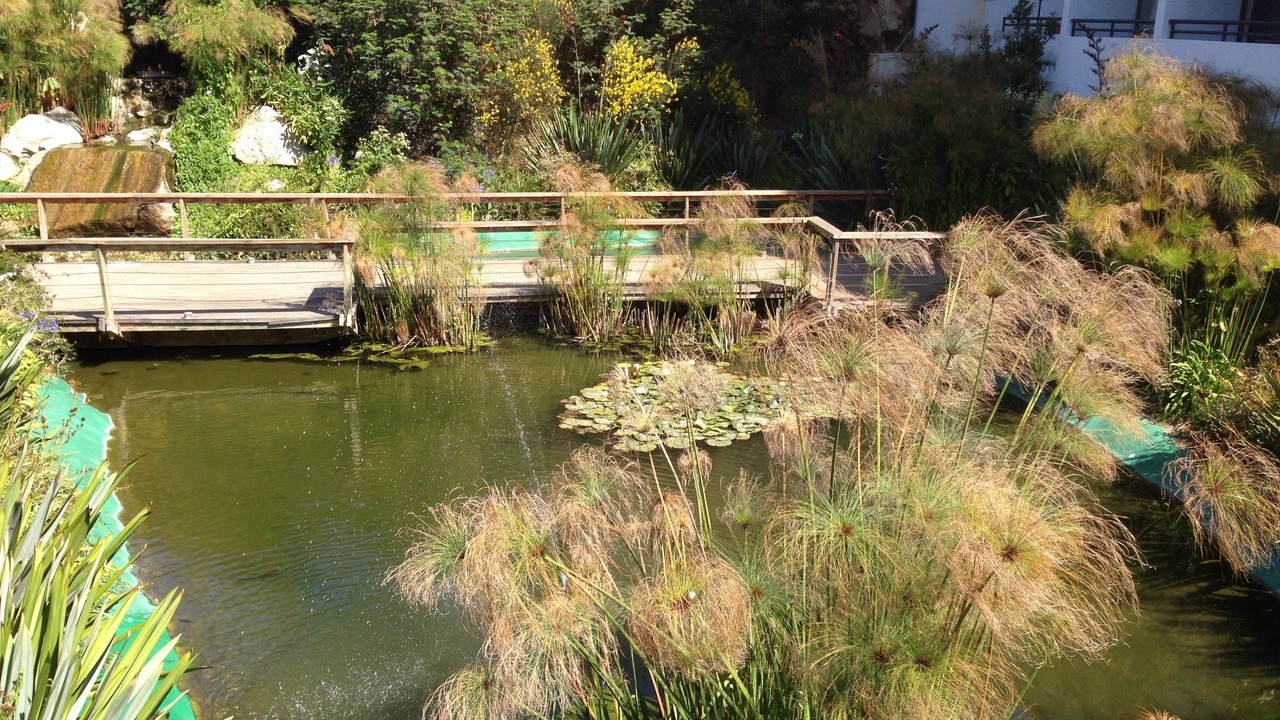 Photo of Outdoor in Renaca