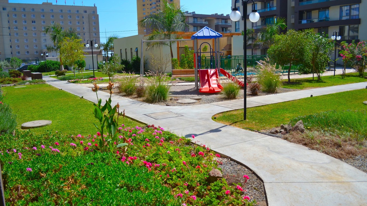 Photo of Outdoor in Arica
