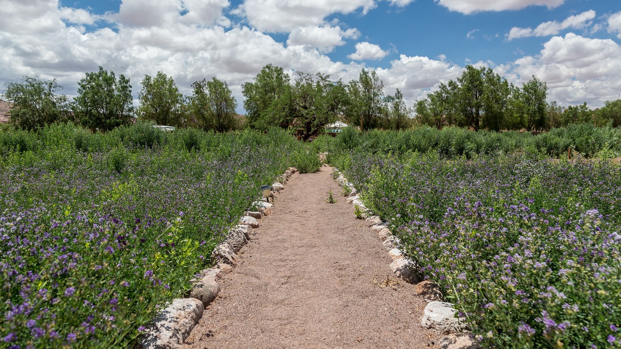 Photo of Outdoor in San Pedro de Atacama
