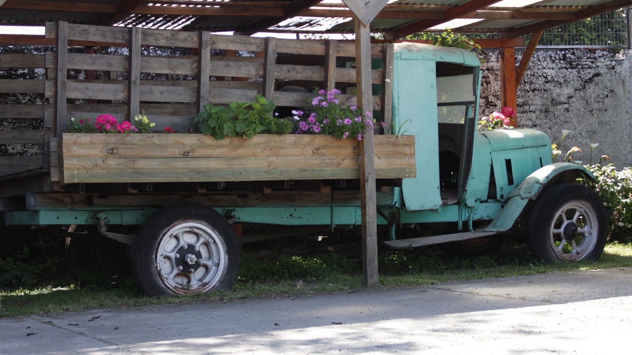 Photo of Outdoor in Chillan