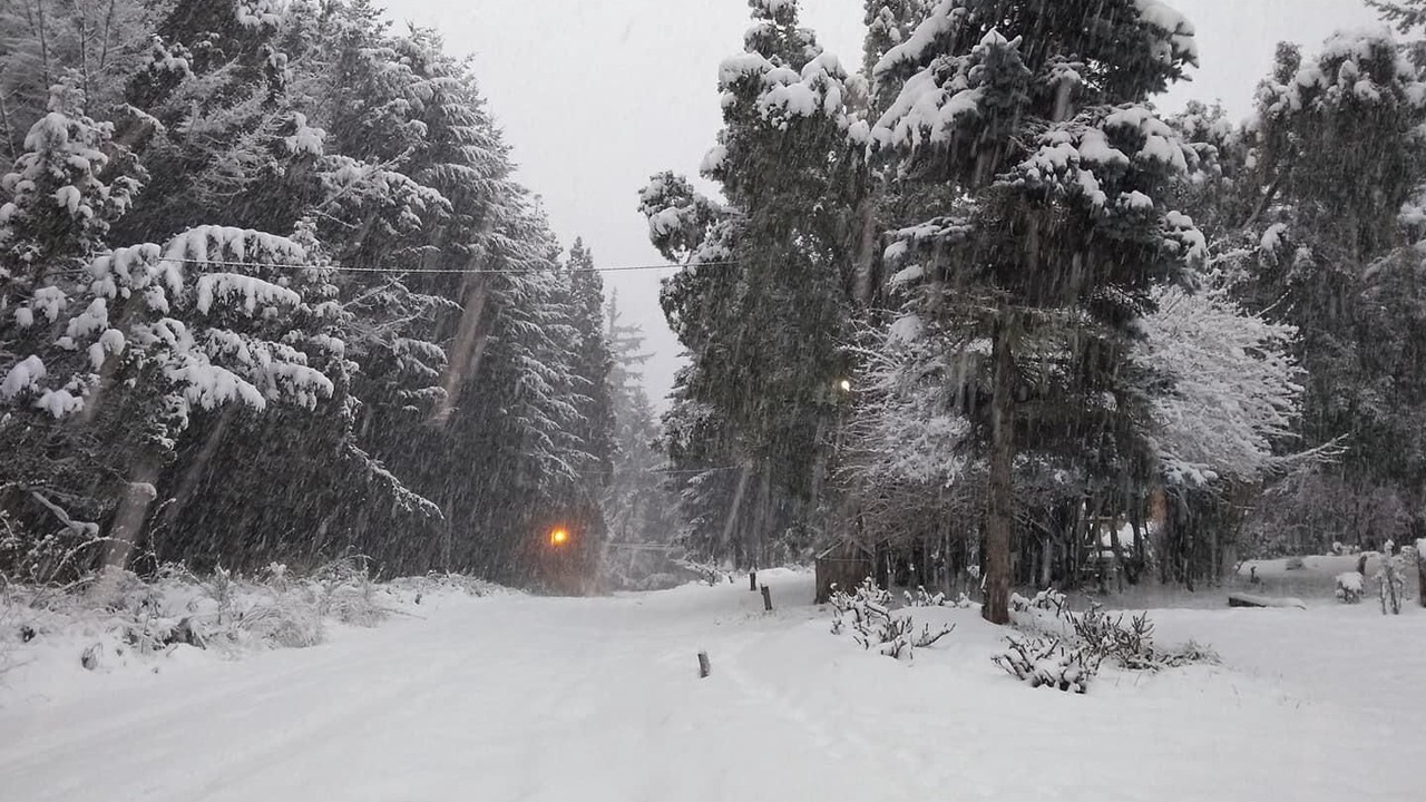 Photo of Outdoor in Llao Llao