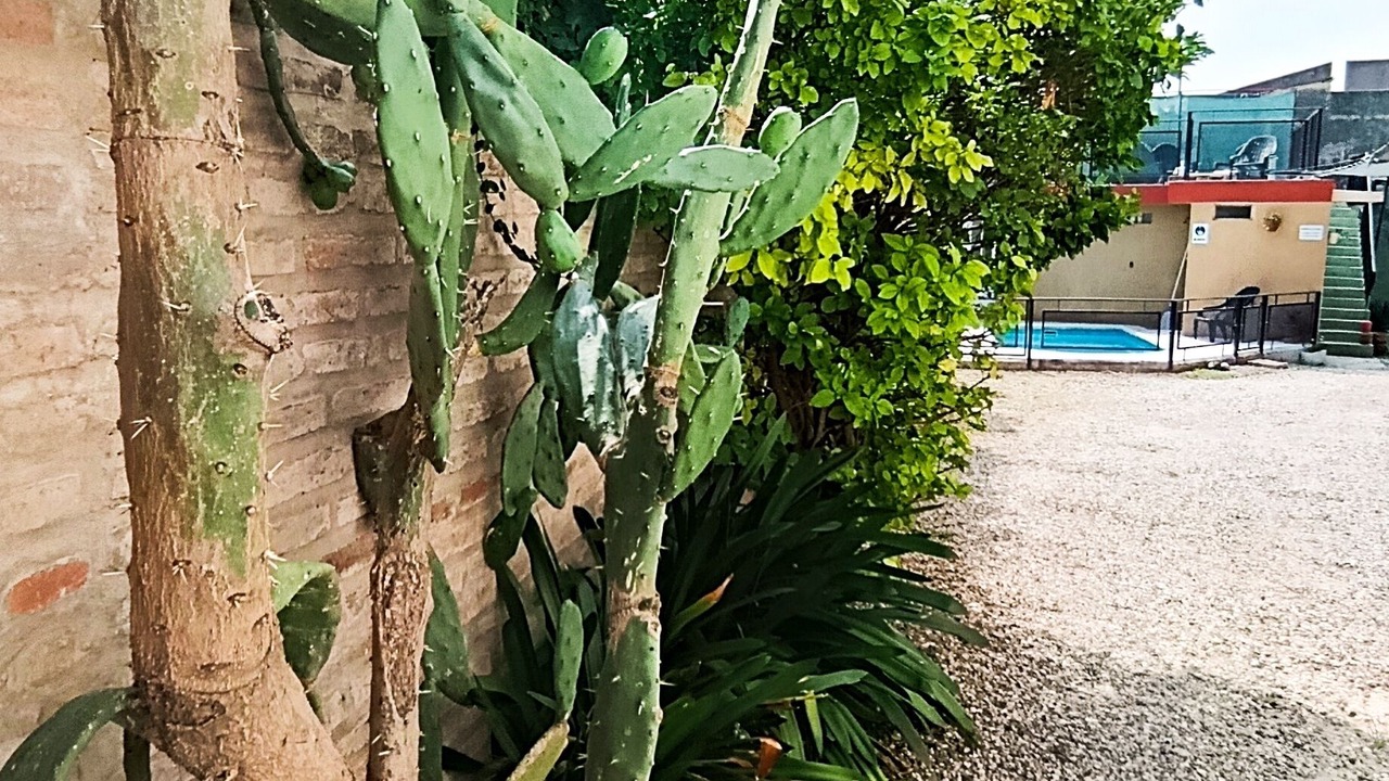 Photo of Outdoor in La Cuesta