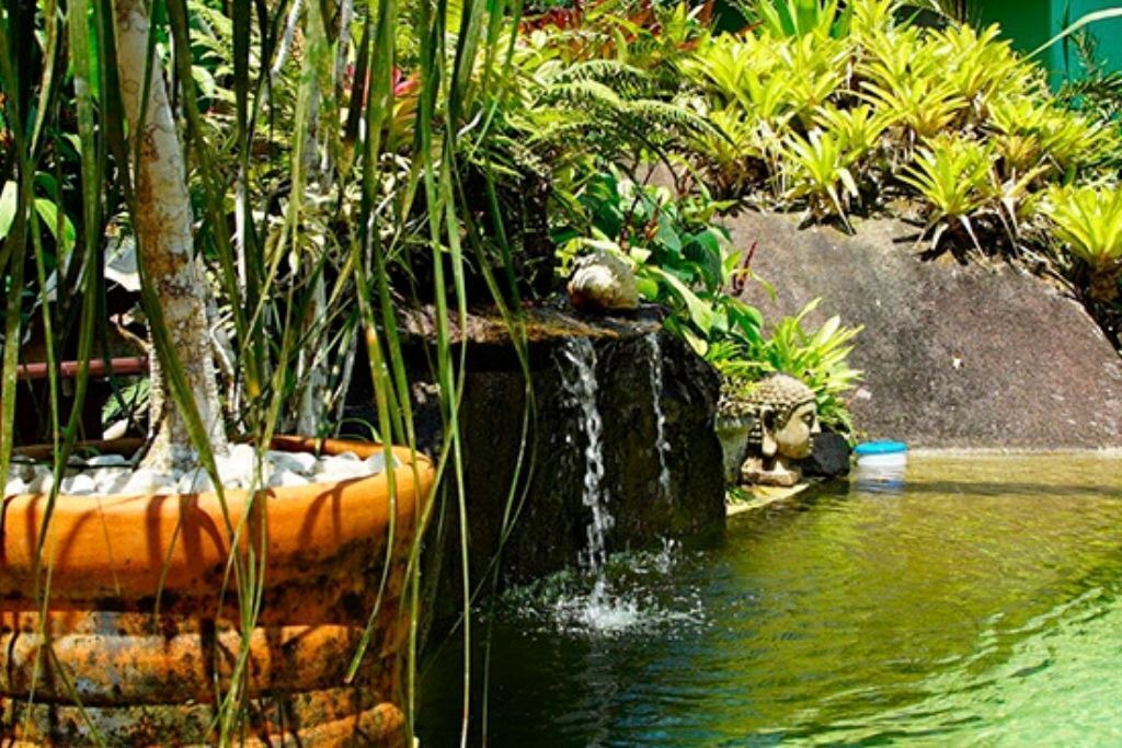 Photo of Outdoor in Trindade