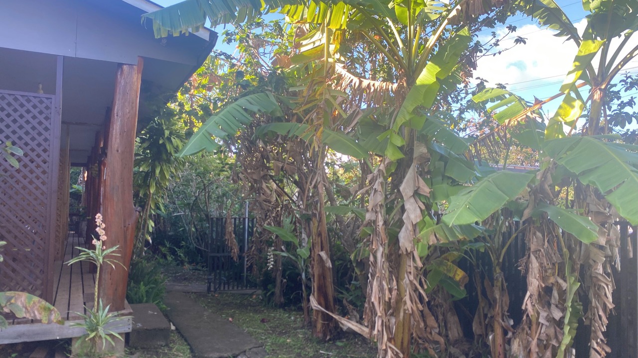 Photo of Outdoor in Hanga Roa