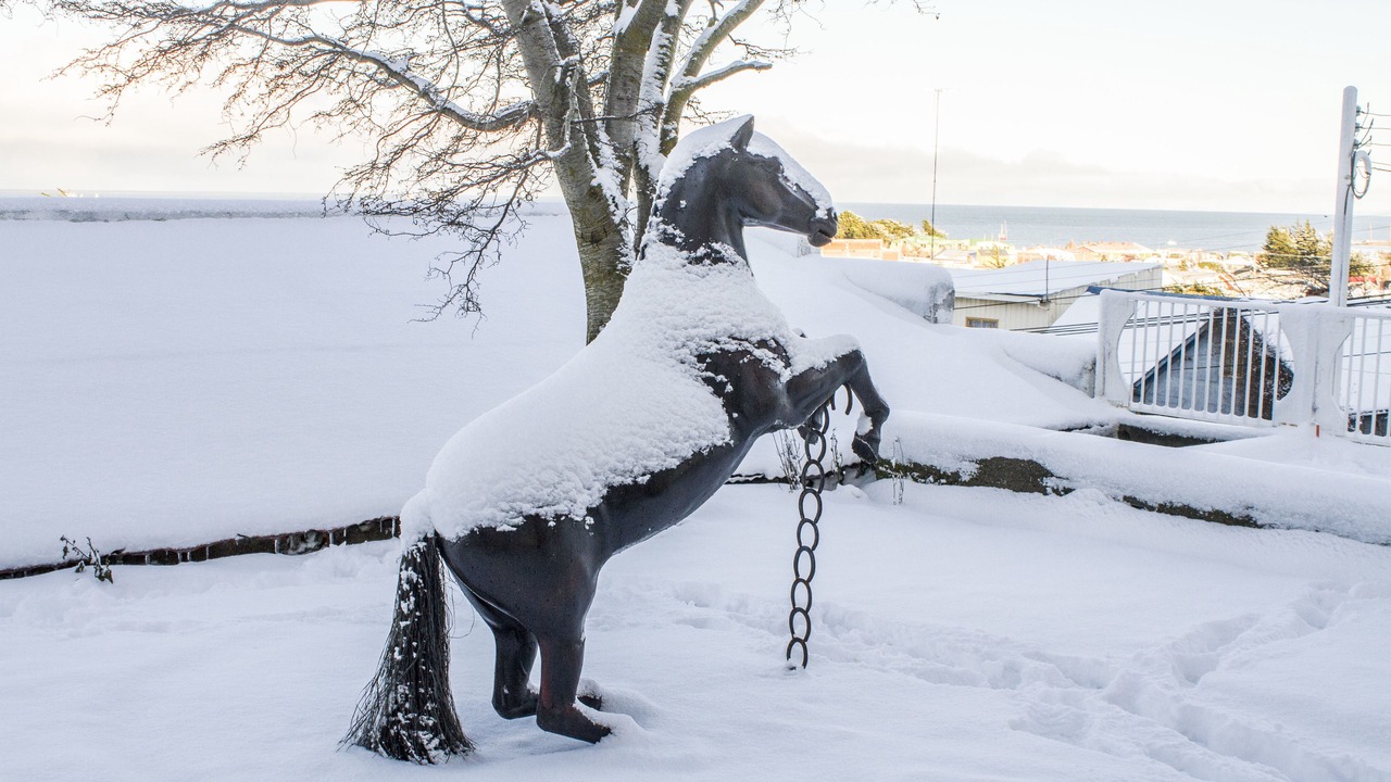 Photo of Outdoor in Punta Arenas