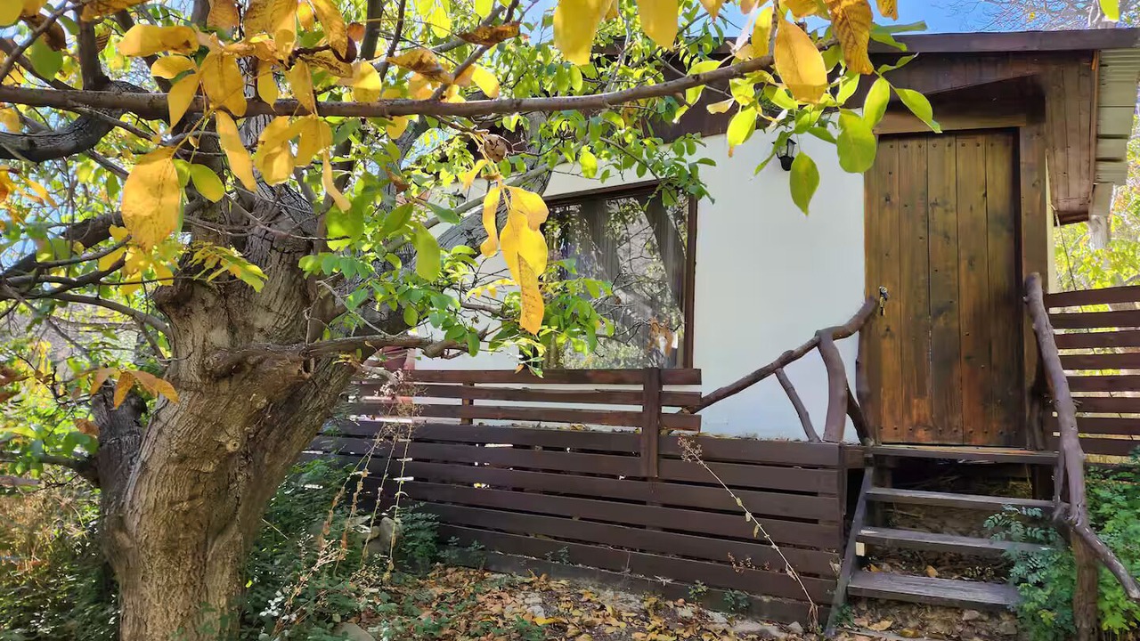 Photo of Outdoor in San Alfonso