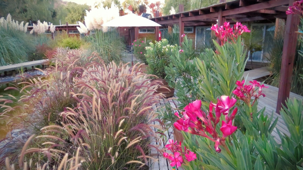 Photo of Outdoor in Santa Cruz
