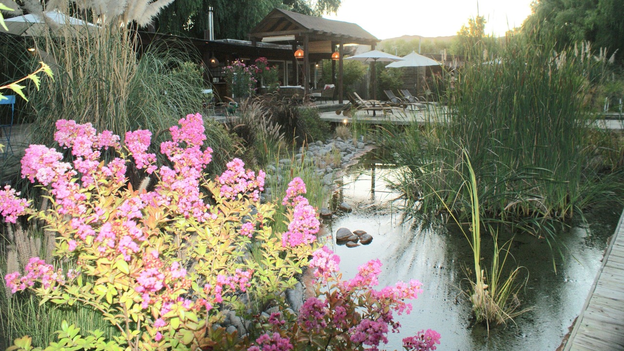 Photo of Outdoor in Santa Cruz