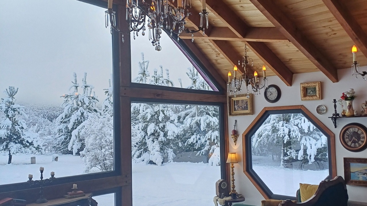 Photo of Livingroom in Malalcahuello