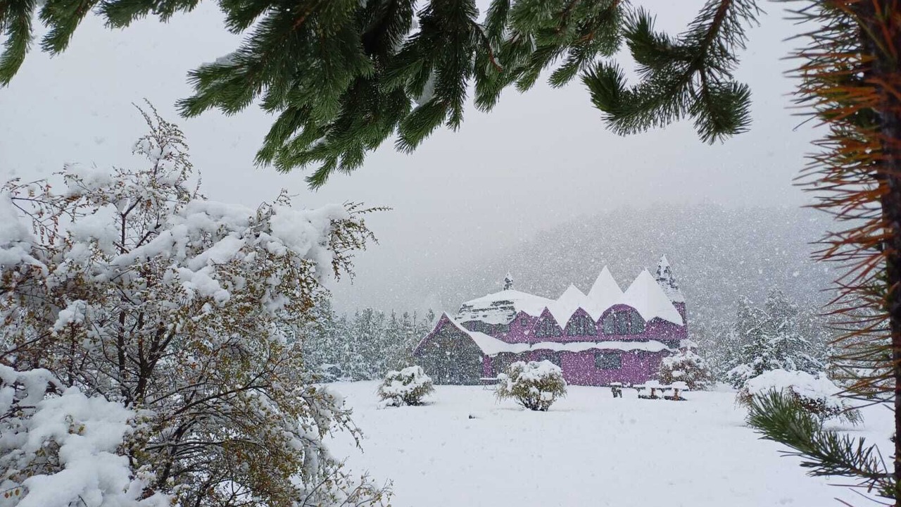 Photo of Outdoor in Malalcahuello