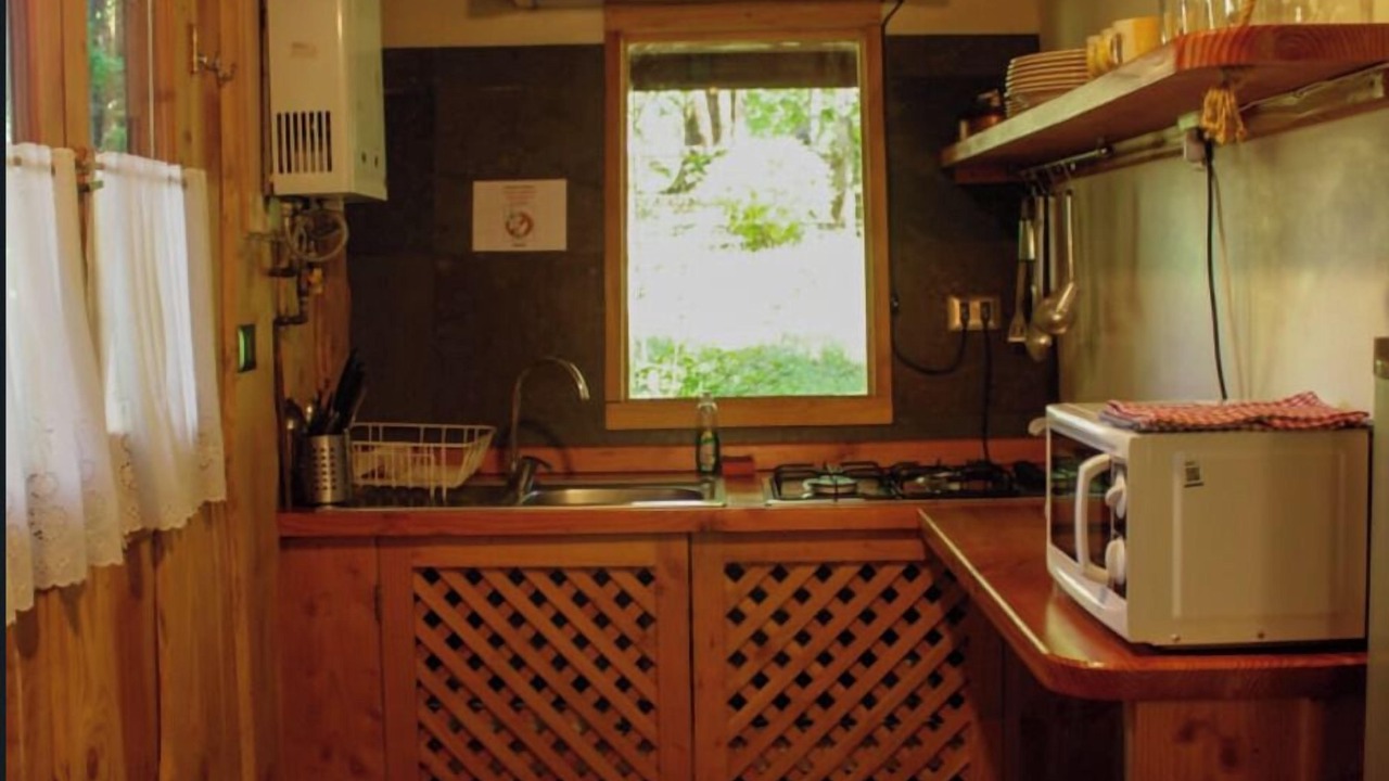 Photo of Kitchen in Pucon