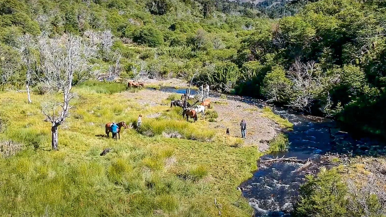 Photo of Others in Curacautin