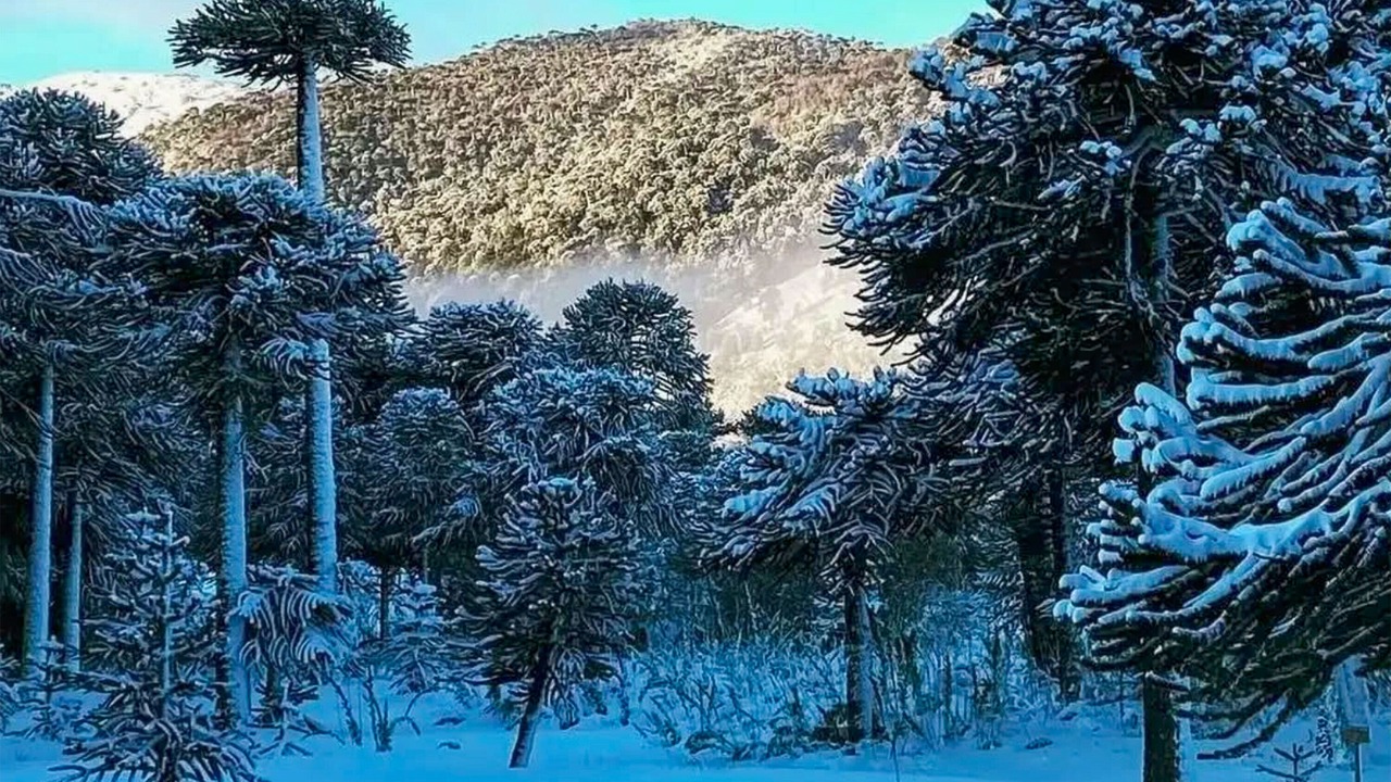 Photo of Outdoor in Curacautin