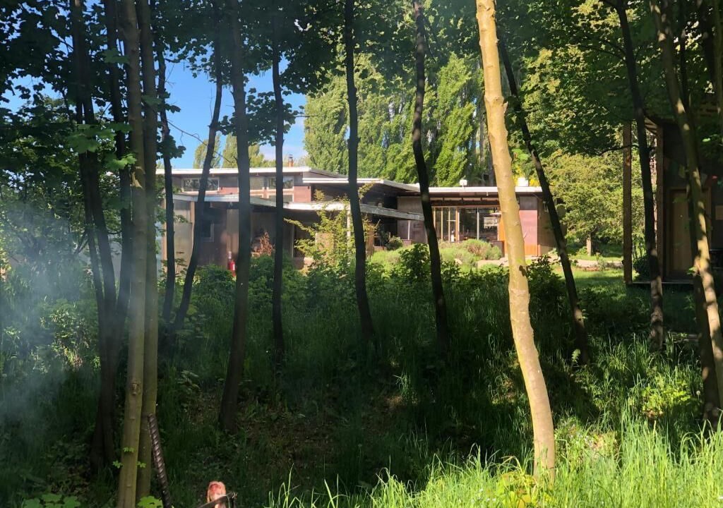 Photo of Outdoor in Coyhaique