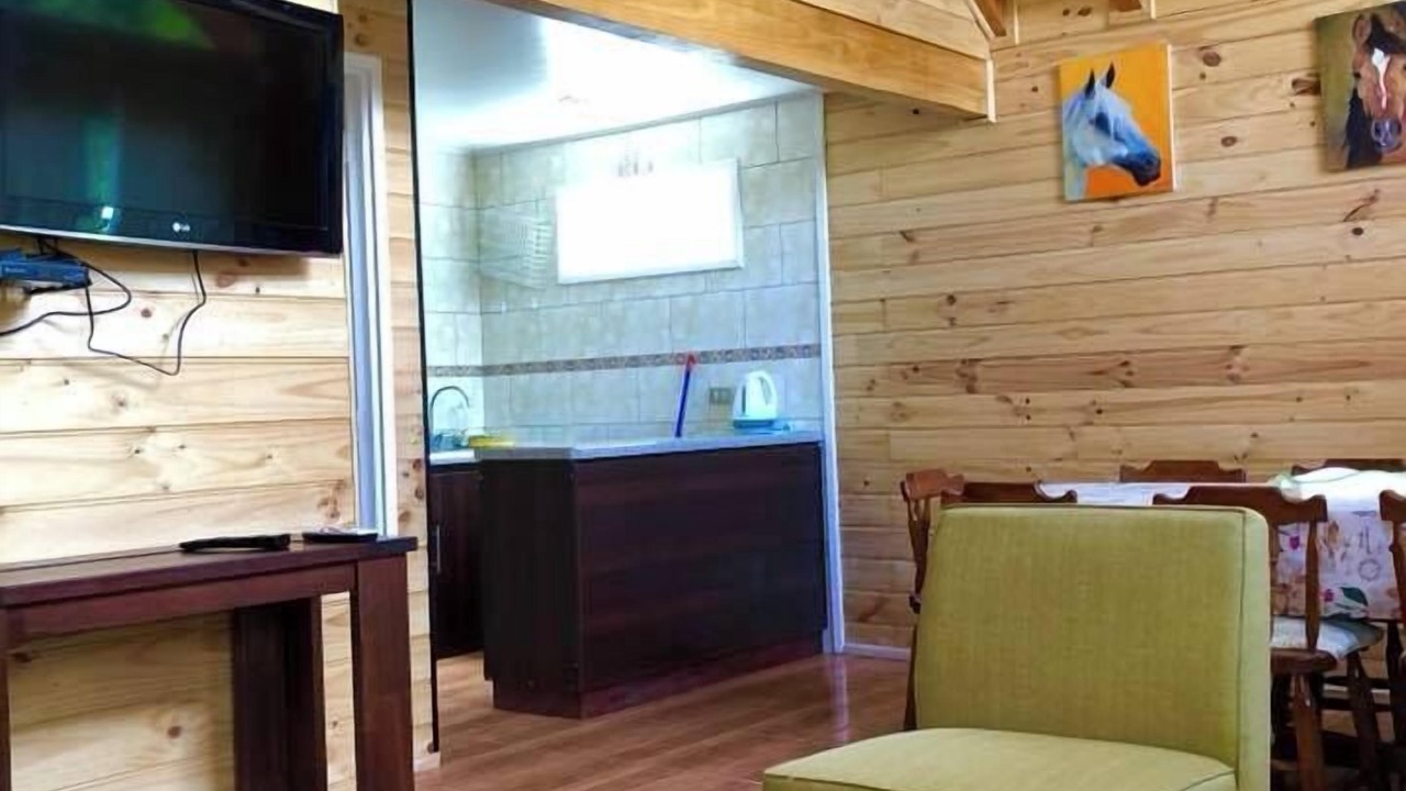 Photo of Livingroom in Lican Ray