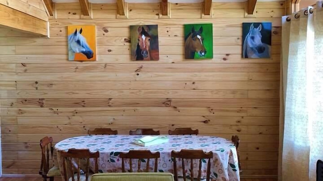 Photo of Livingroom in Lican Ray