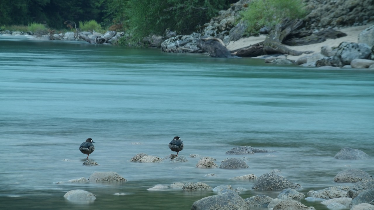 Photo of Outdoor in Cisnes
