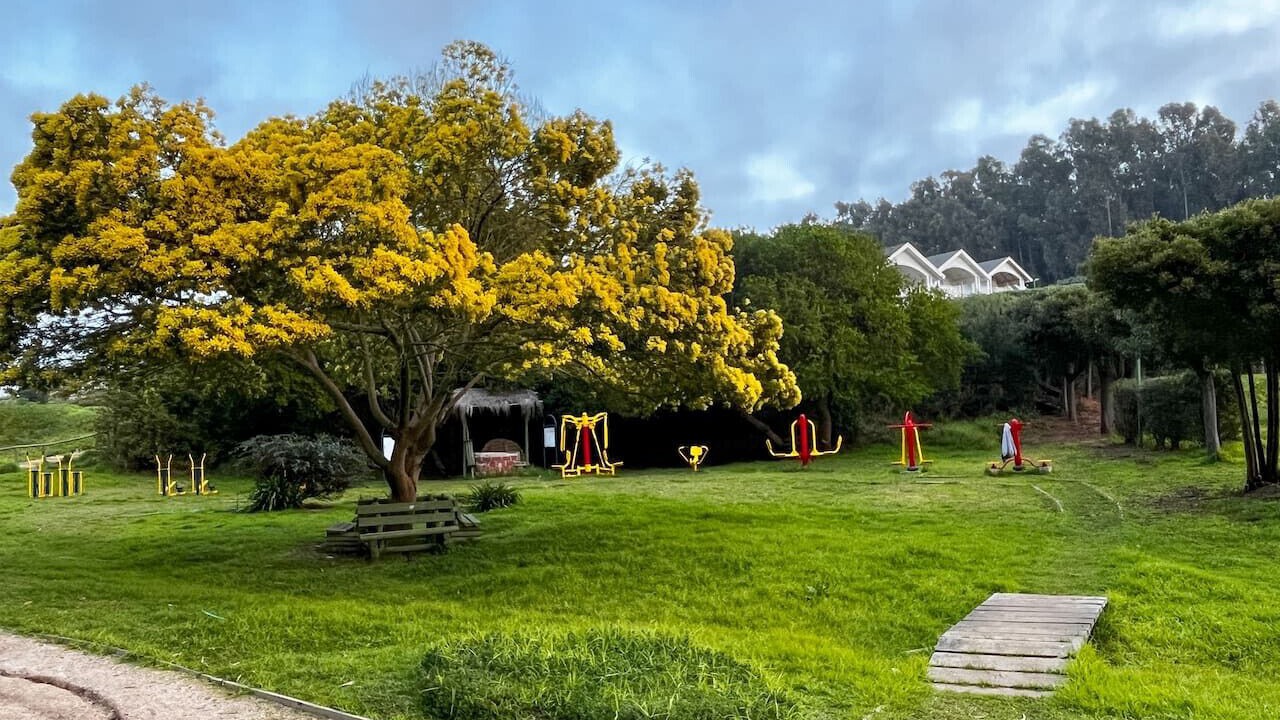 Photo of Outdoor in Puchuncavi
