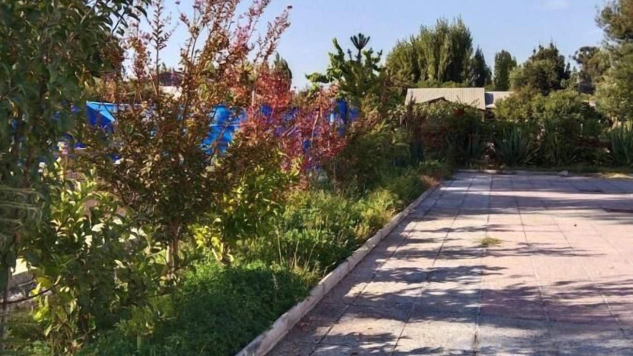 Photo of Outdoor in Santa Cruz
