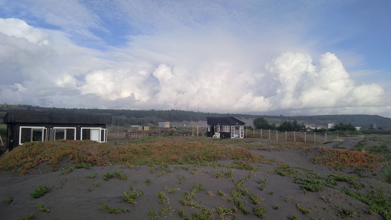 Photo of Outdoor in Curepto