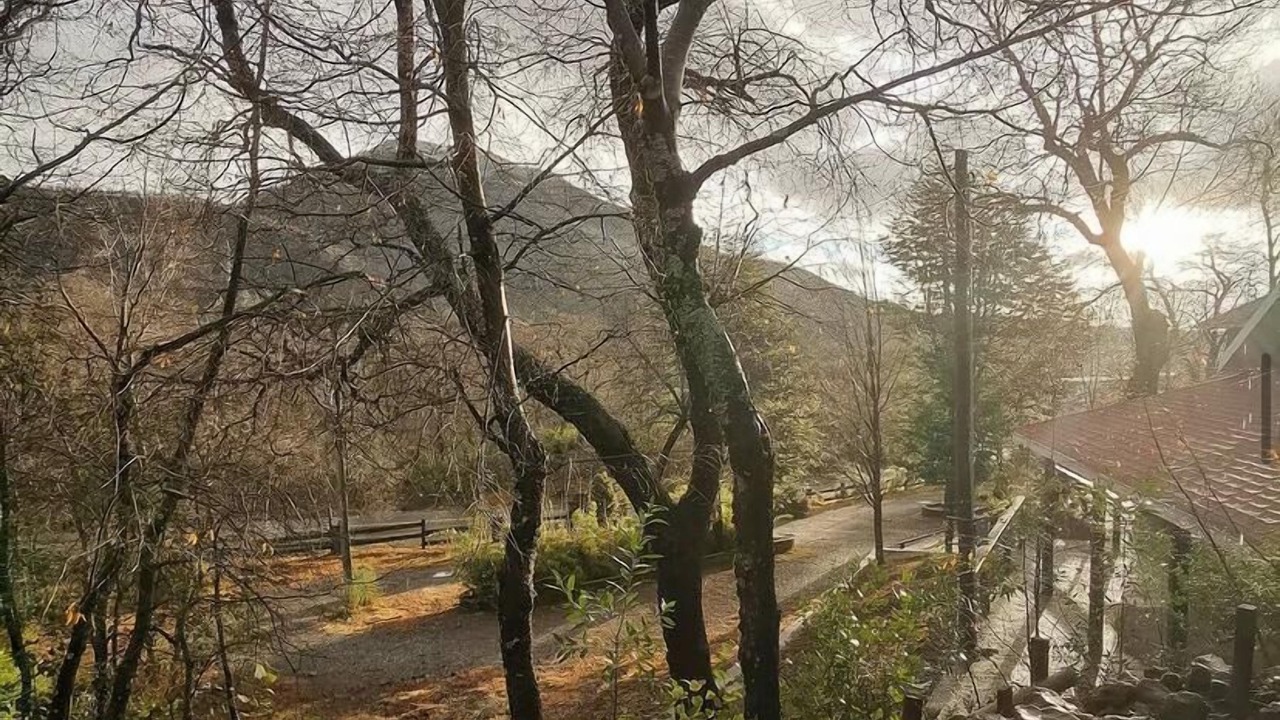 Photo of Outdoor in Chillan