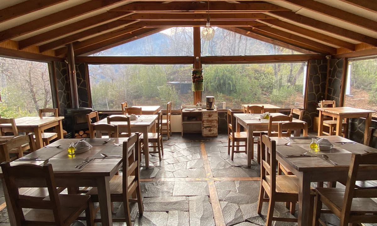 Photo of Livingroom in Chillan