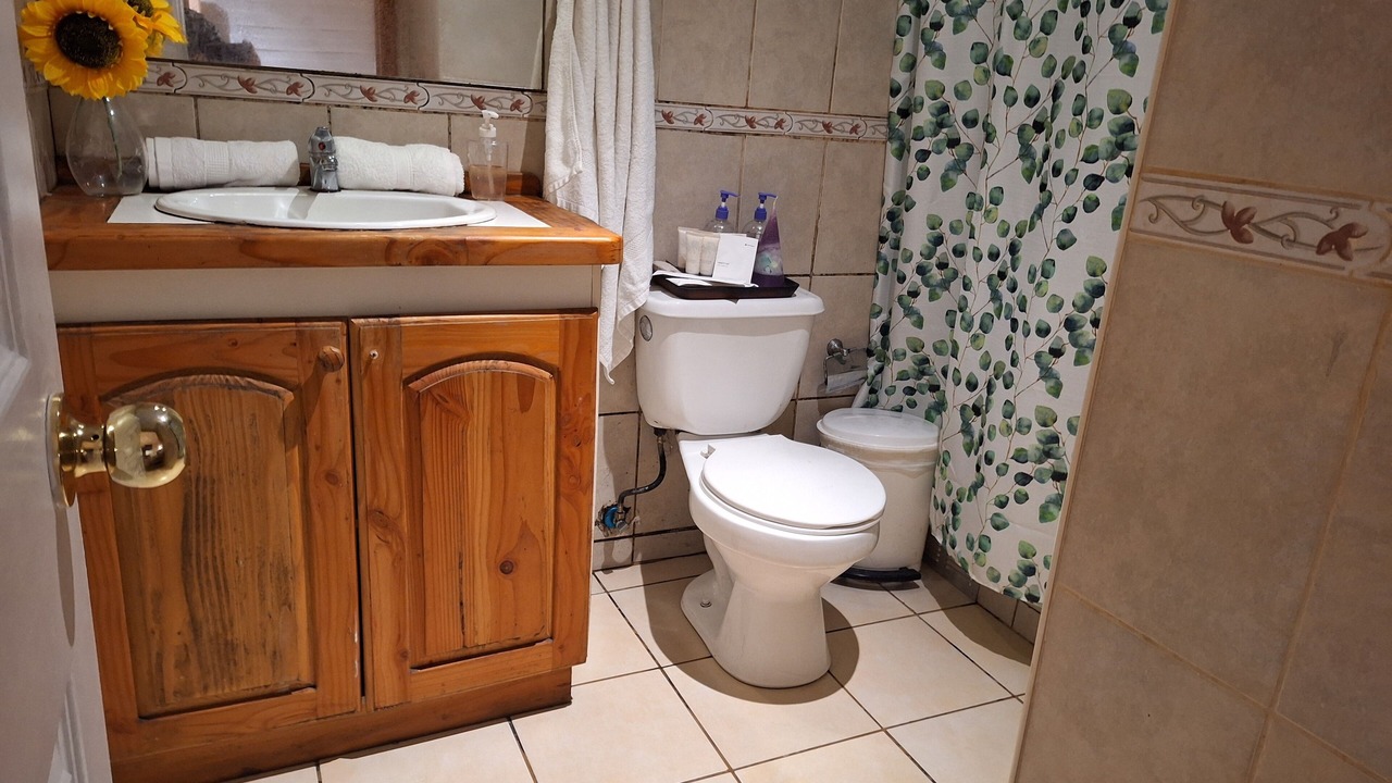 Photo of Bathroom in Pucon