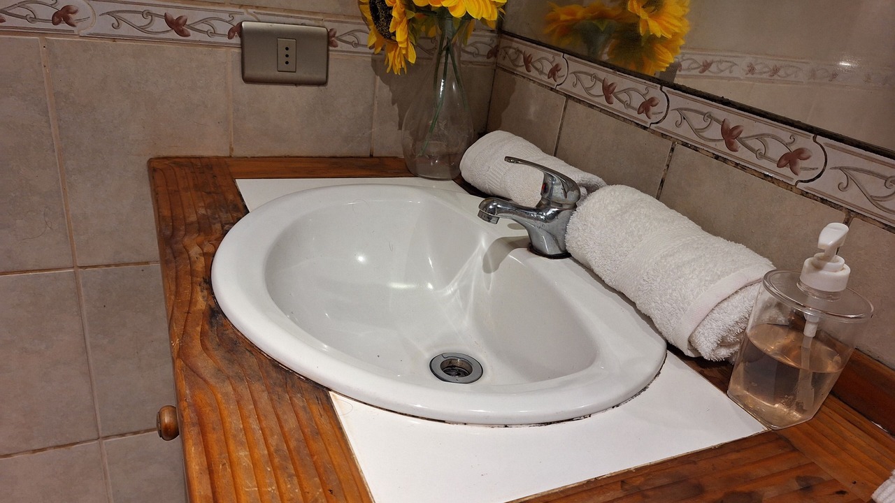 Photo of Bathroom in Pucon