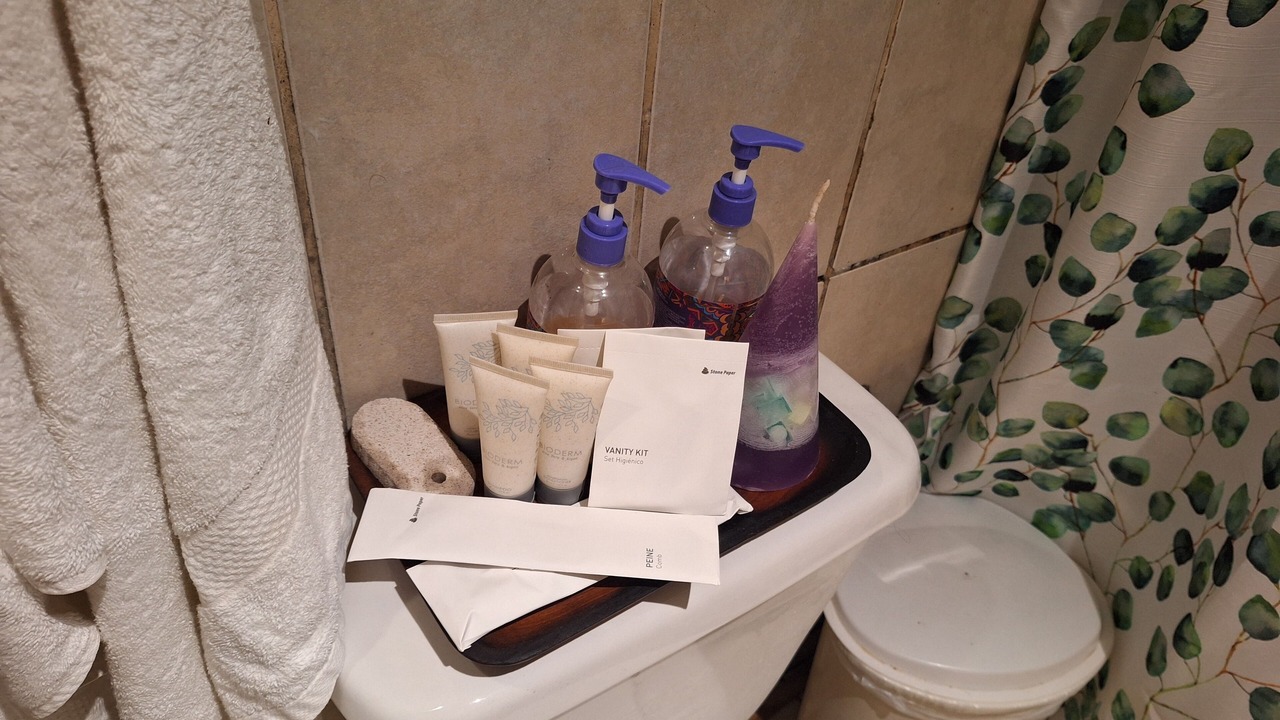 Photo of Bathroom in Pucon