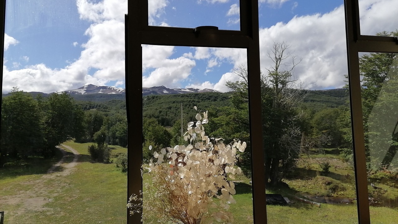 Photo of Others in Coyhaique