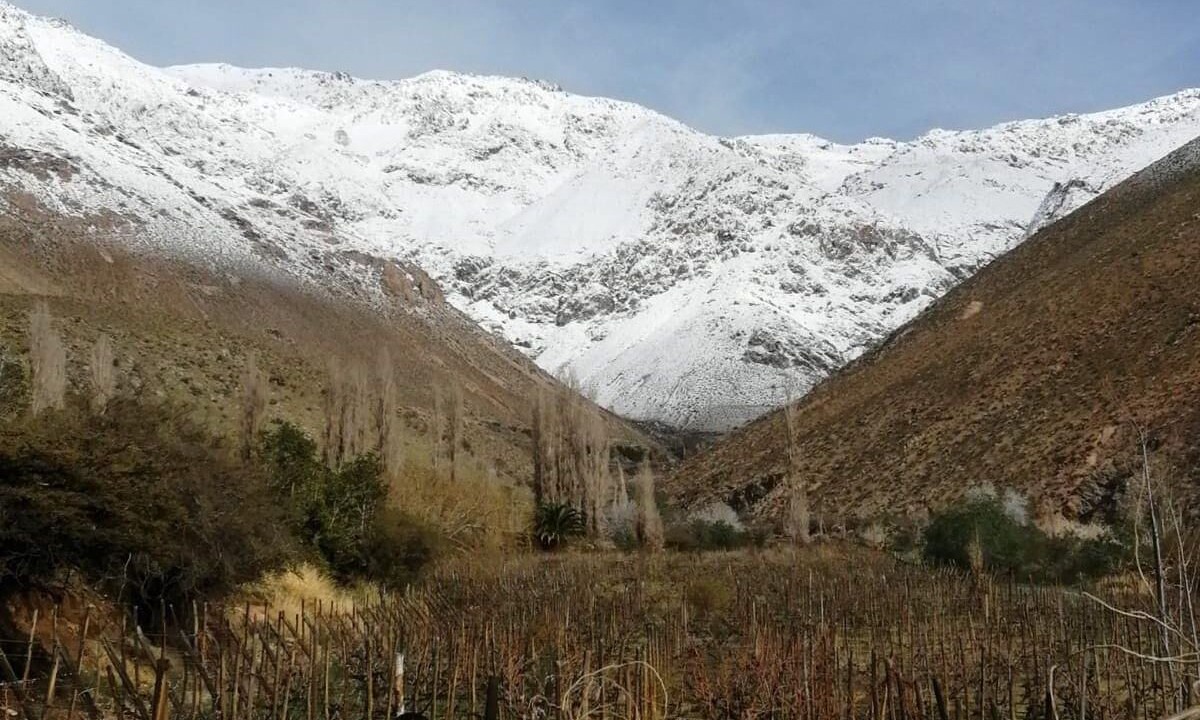 Photo of Others in Pisco Elqui