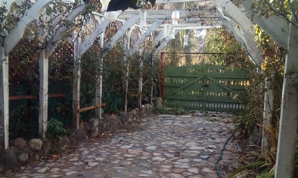 Photo of Outdoor in Pisco Elqui