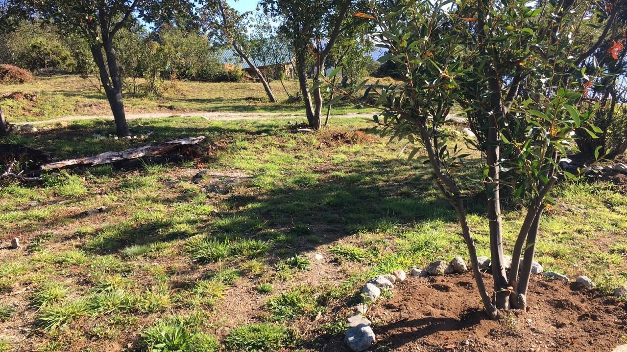 Photo of Outdoor in Luis Soto