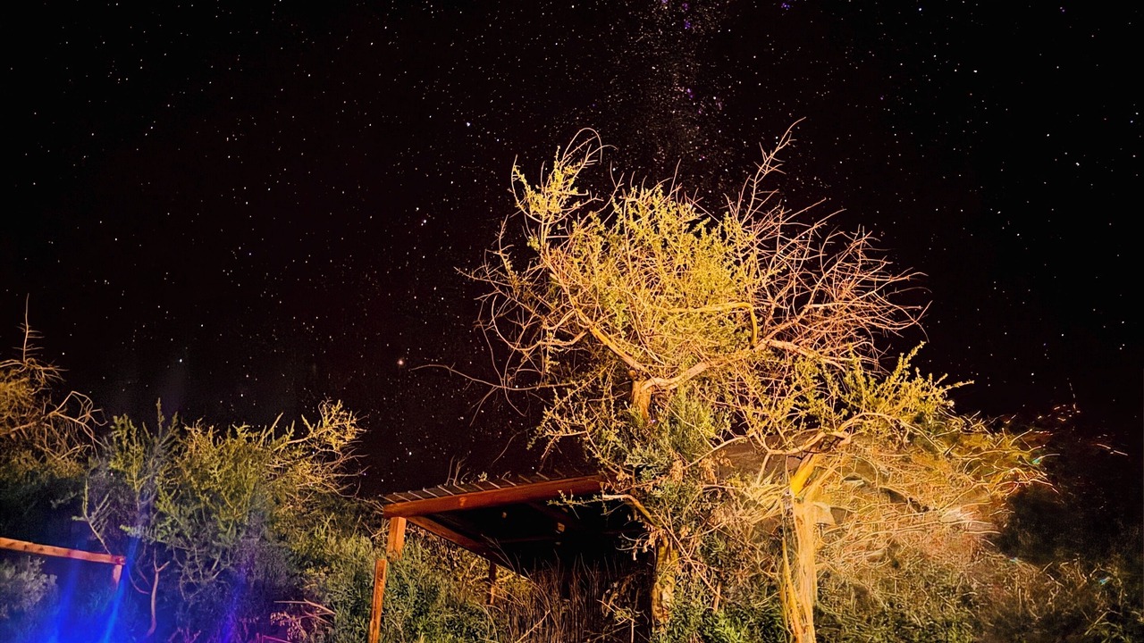 Photo of Patio Balcony in San Pedro de Atacama