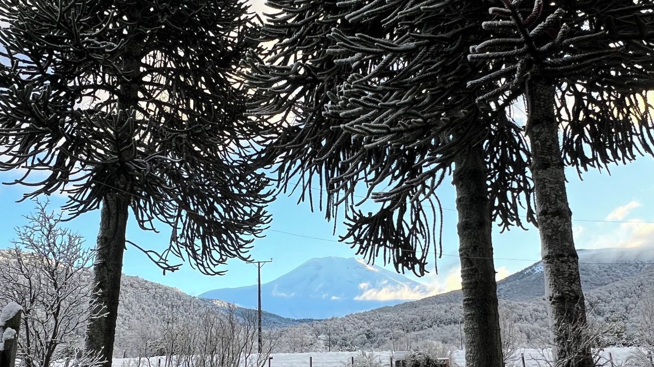 Photo of Outdoor in Malalcahuello