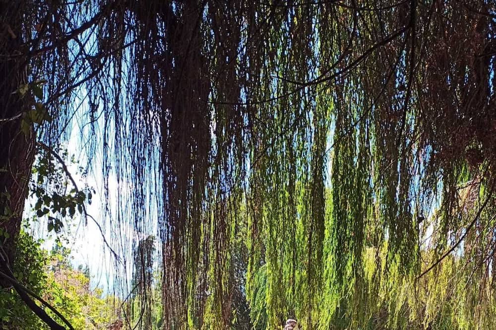 Photo of Outdoor in San Esteban