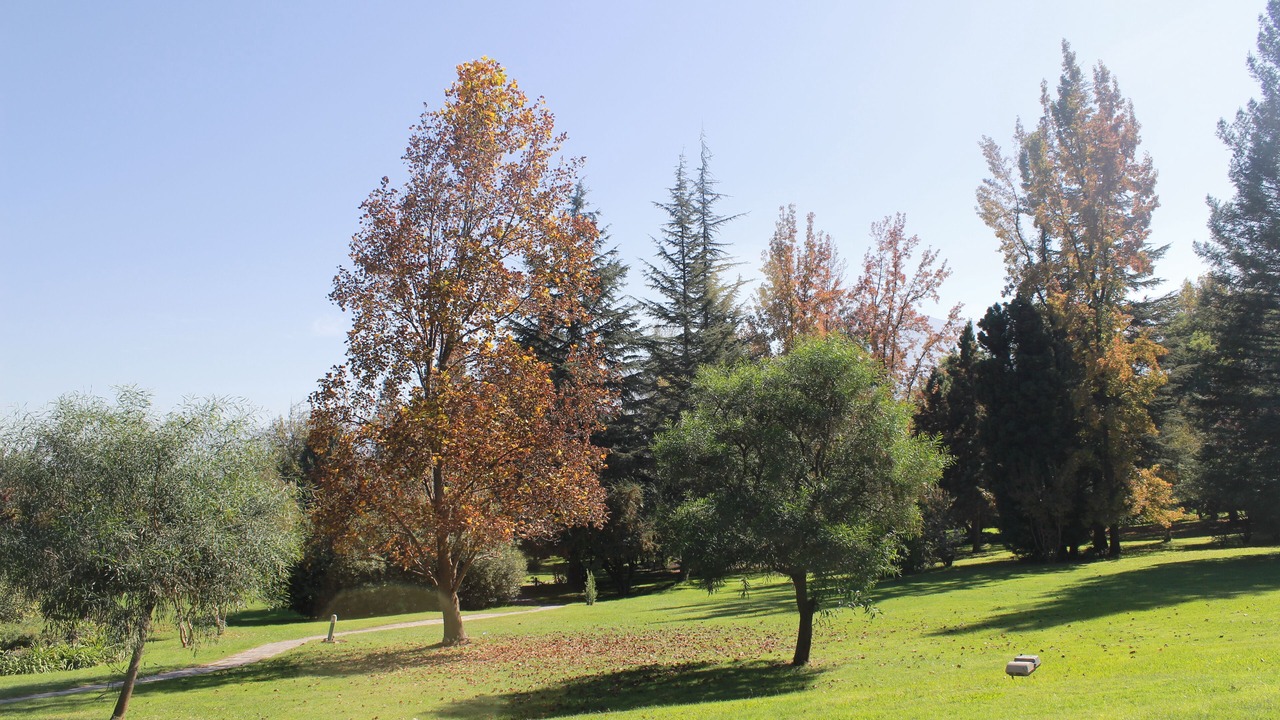 Photo of Outdoor in San Felipe