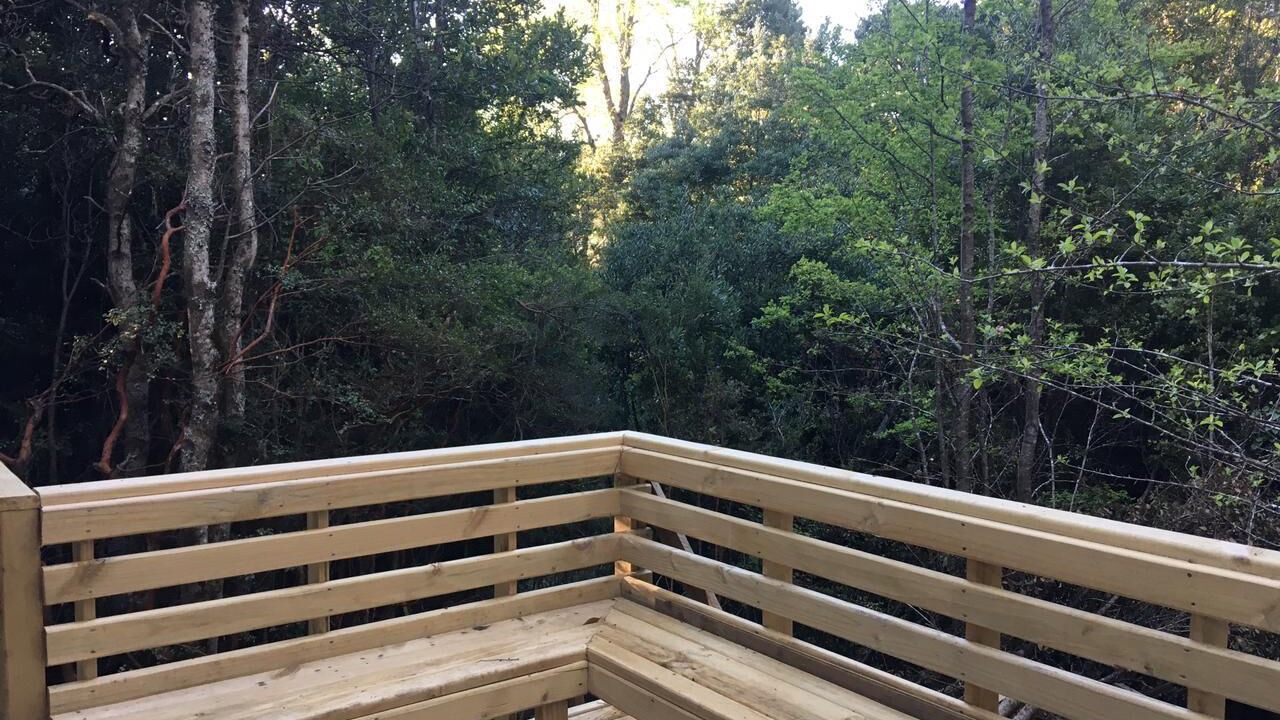 Photo of Outdoor in Pucon